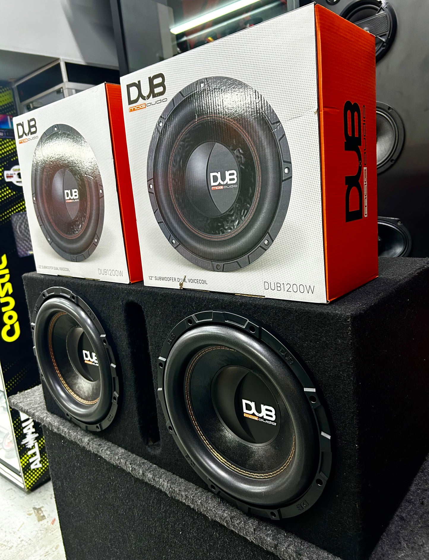 INCREÍBLE PAQUETE DE BAJO A UN INCREÍBLE PRECIO / DUB / 060726 / VDR