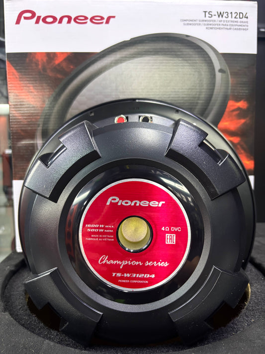 ESTABAS BUSCANDO UN EQUIPO DE BAJEO / PIONEER / DS18 / 020726 / JCP